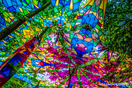 9-Boomtown - Visual Architects - web upload-April 29, 2020 (1)-1