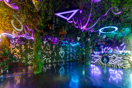 VA wAFF MattChungPhoto lo-res (2)-2
