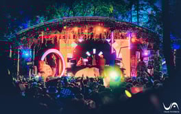 VA2046-Electric Woodlands 19