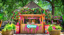 Vas3985 - Oasis-11 copy (1)